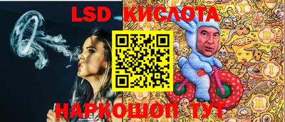 spice Кимры