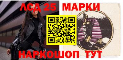 МДПВ Кингисепп