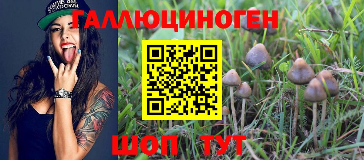 Волоколамск  Псилоцибиновые грибы MAGIC MUSHROOMS  Вход с VPN  Псилоцибиновые грибы Psilocybe 