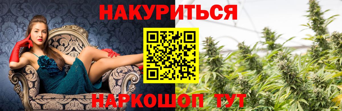 Каннабис сатива Волоколамск